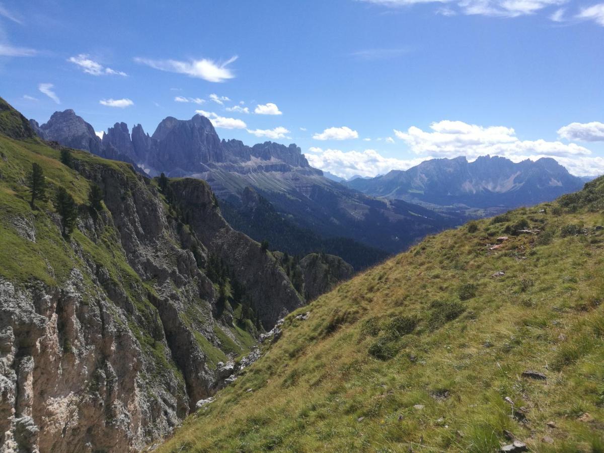 Chalet Tschogerhof Tiers Am Rosengarten Dolomiten Exterior foto